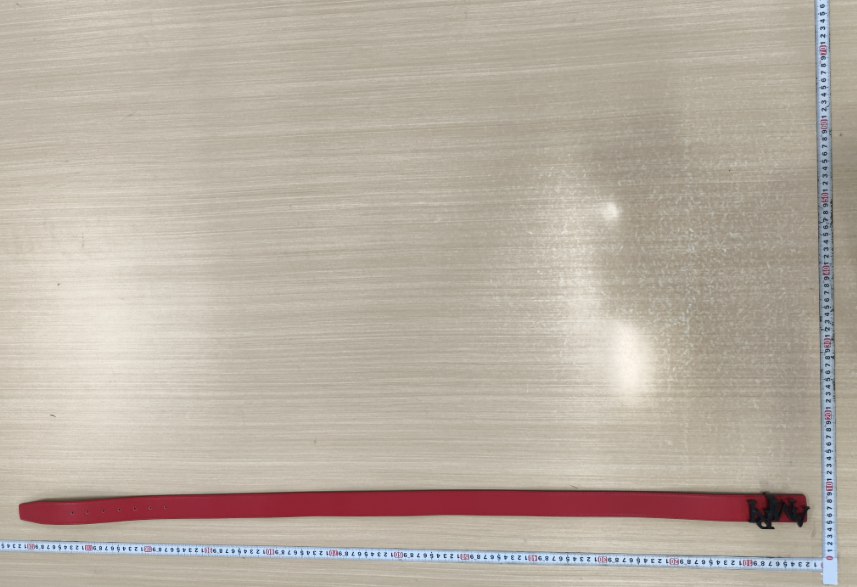 Amiri Belt (+5 Styles)