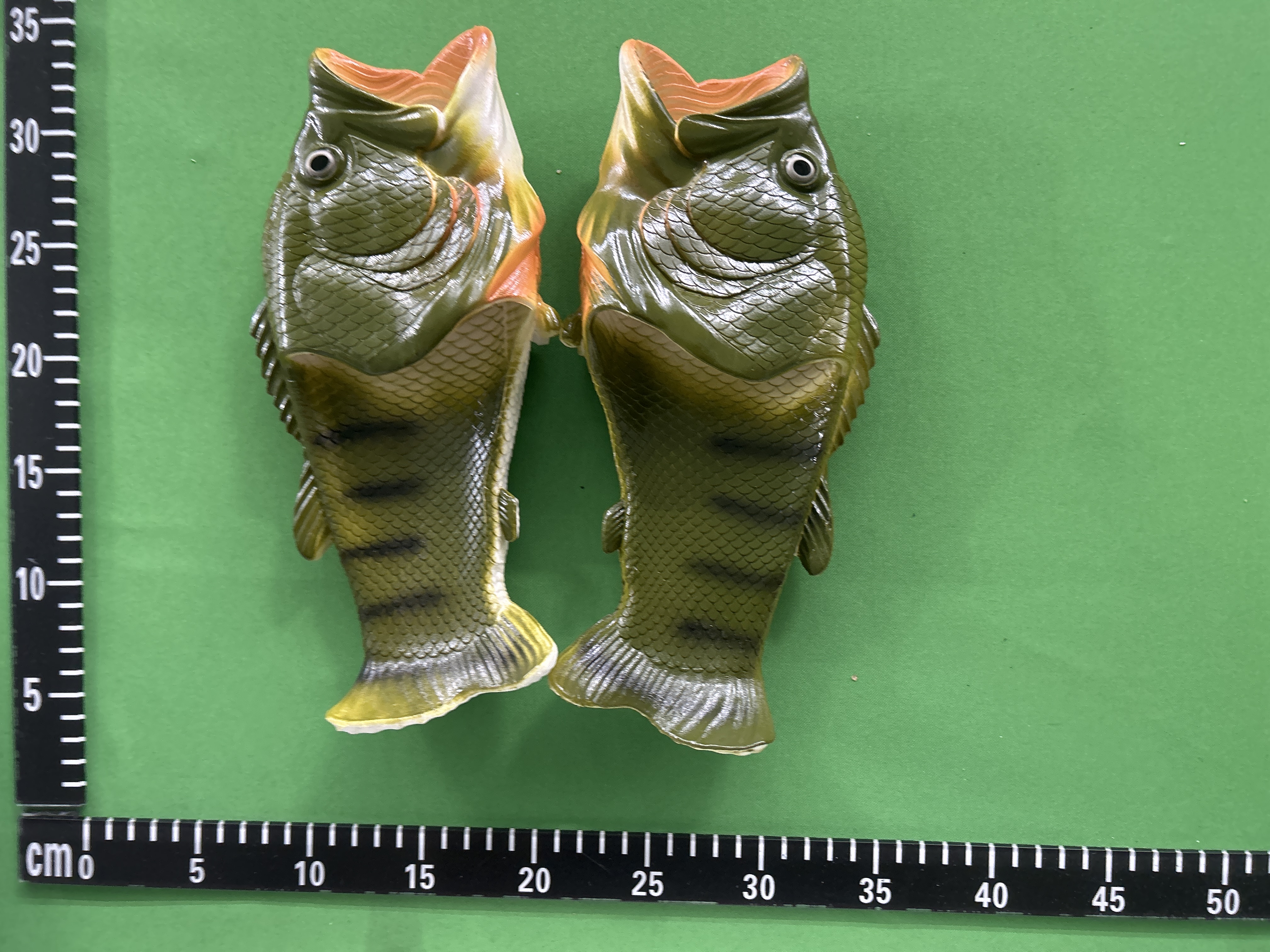 Fish Slides