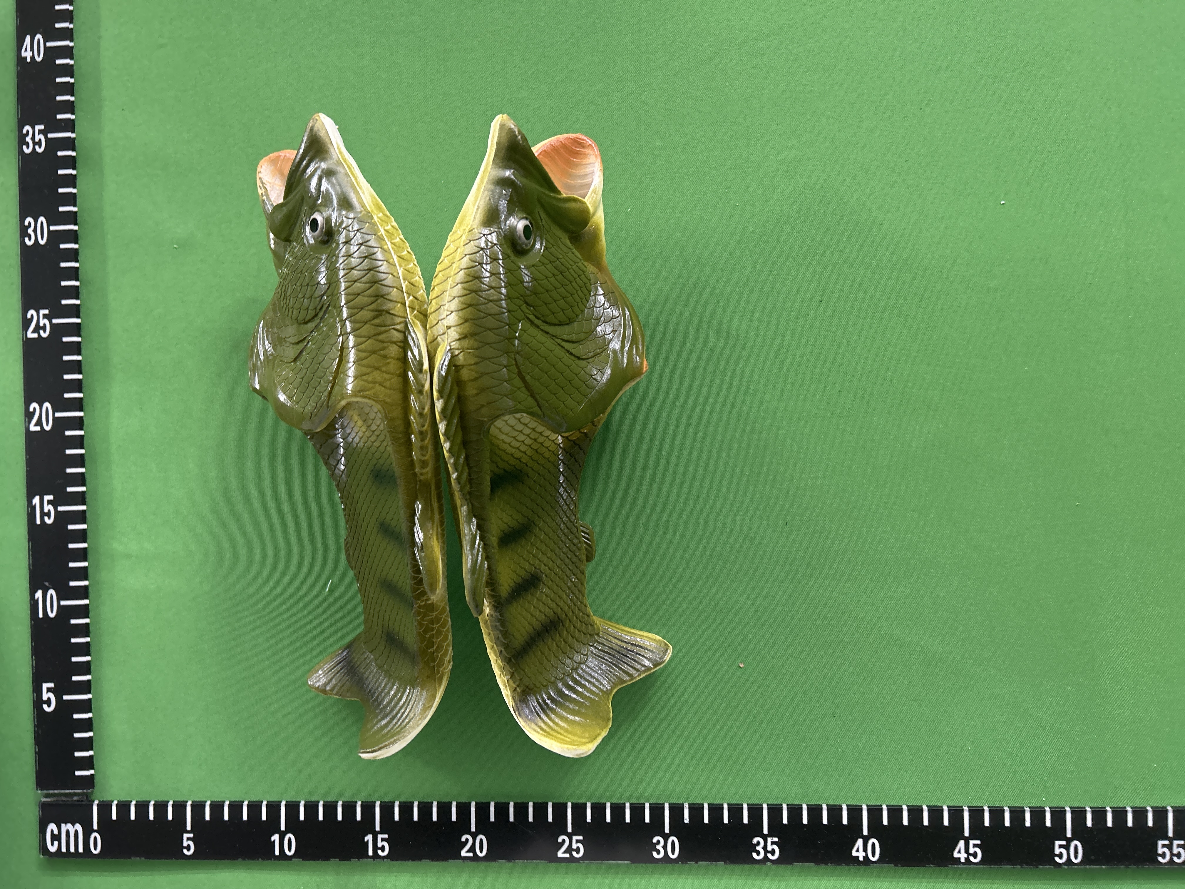 Fish Slides