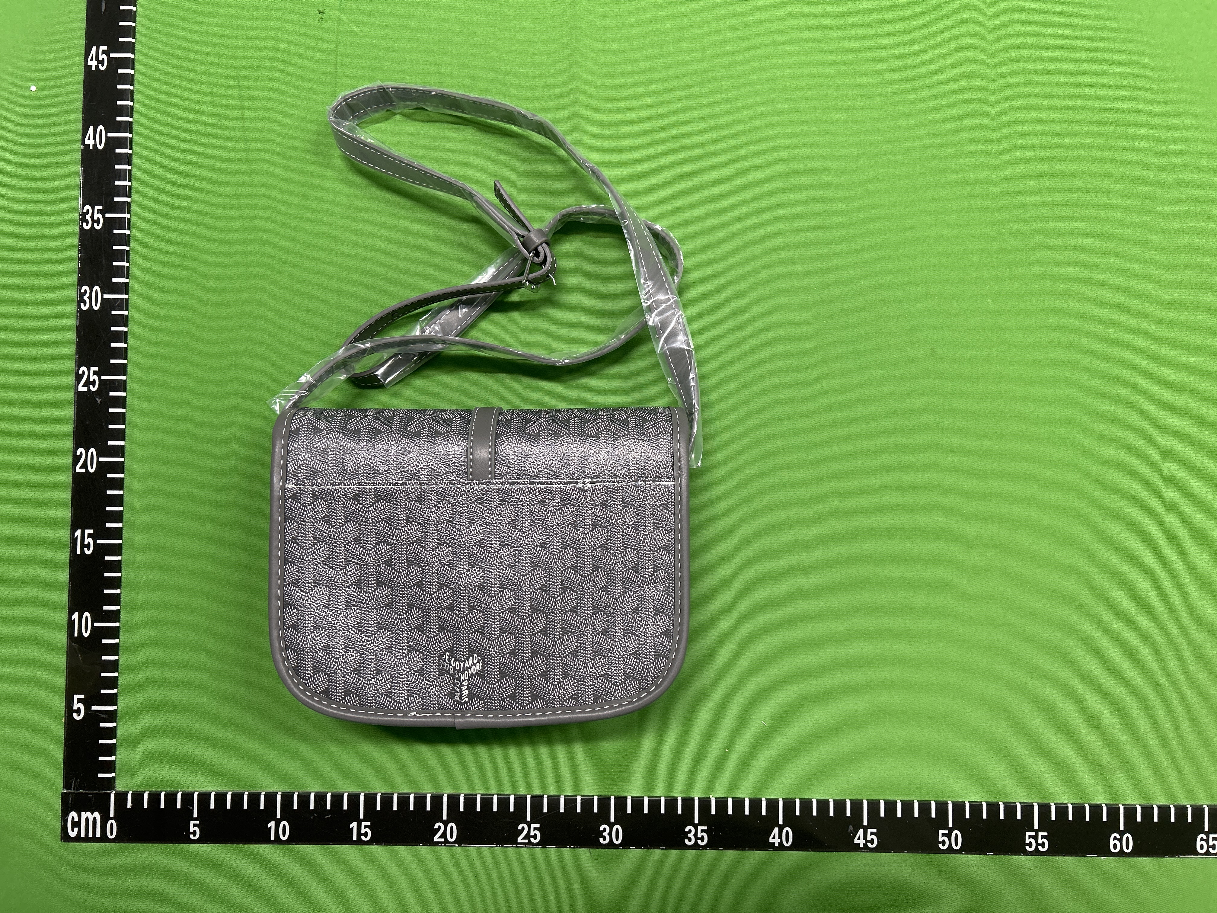 Goyard bag (+10 styles