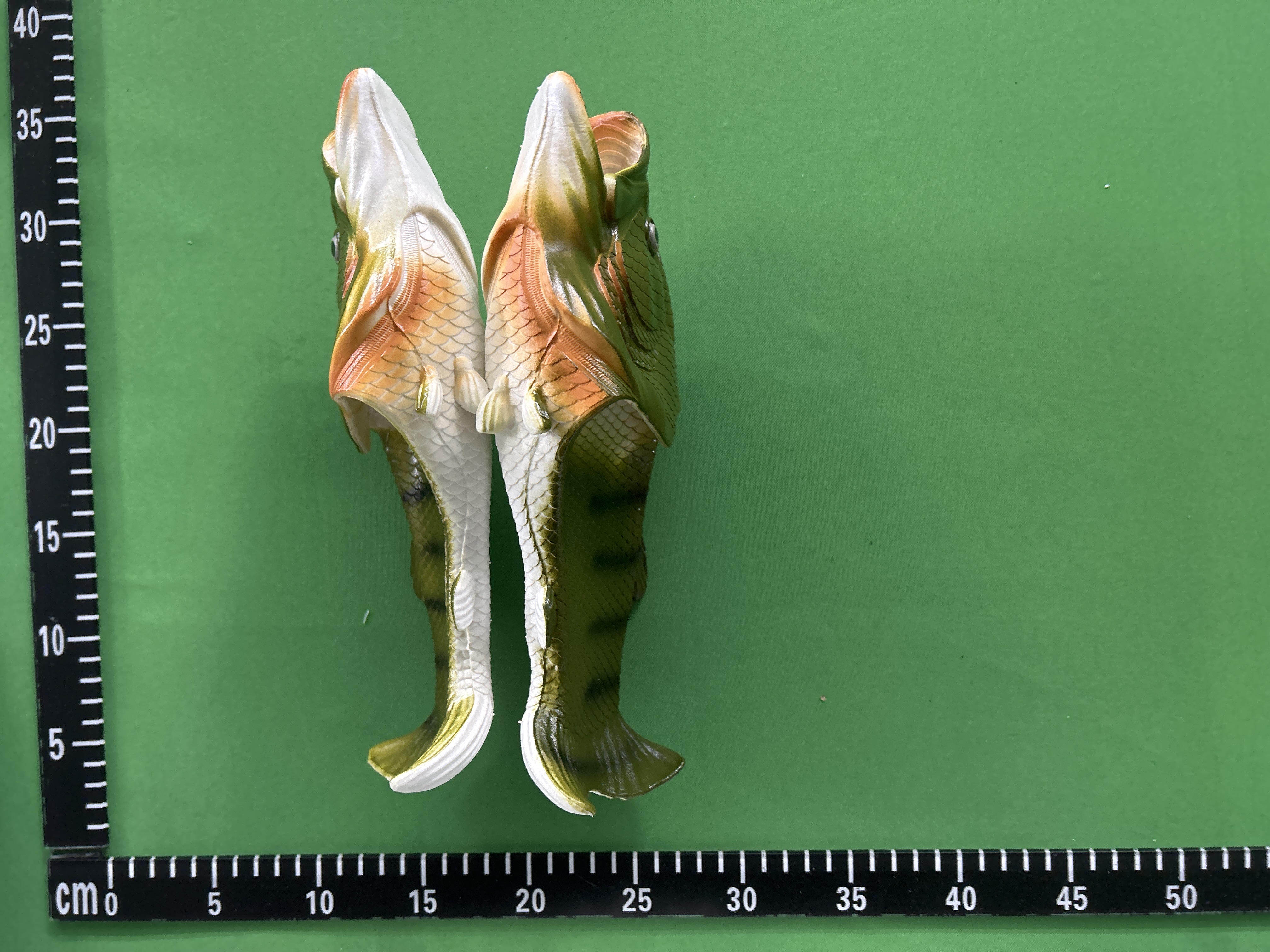 Fish Slides
