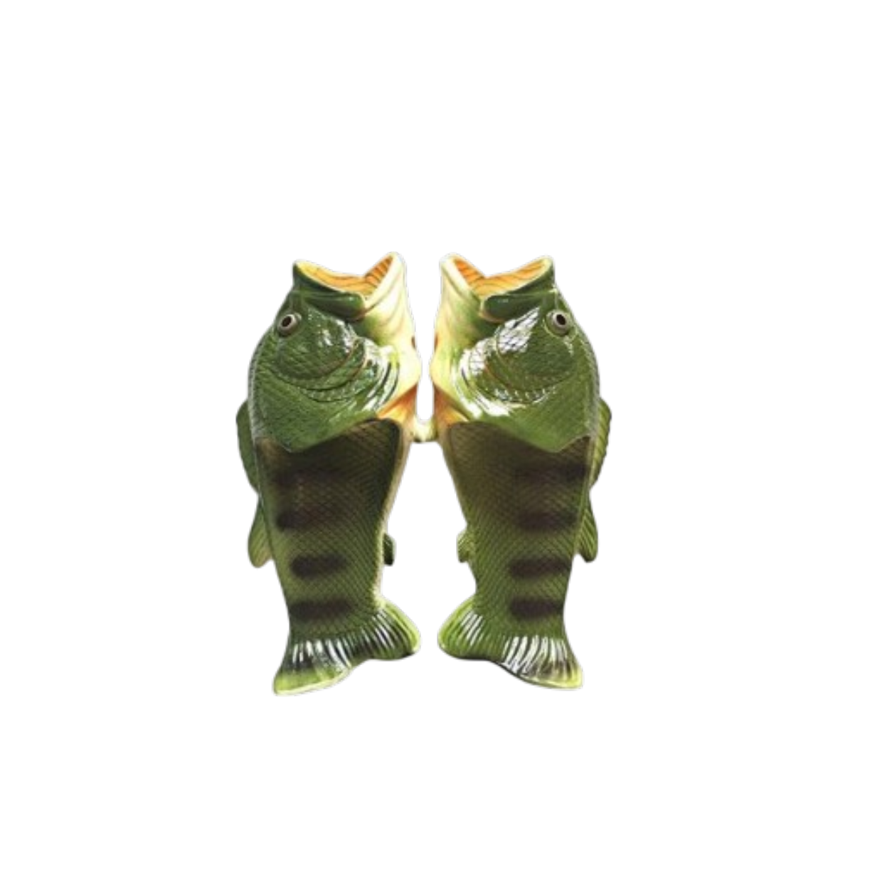 Fish Slides